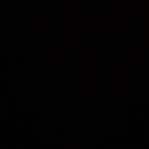 Meet your Posher, Shayla